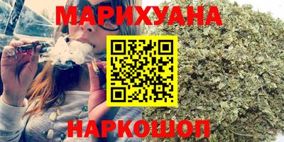 сатива Бийск