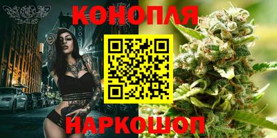 сатива Бийск