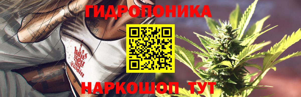 МАРИХУАНА конопля Кинель